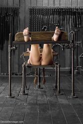 Brunette slave Serena Blair gets bound in a stock predicament and toyed