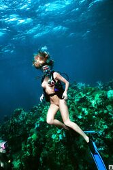 Breathtaking centerfold babes dive topless & model natural tits by the water