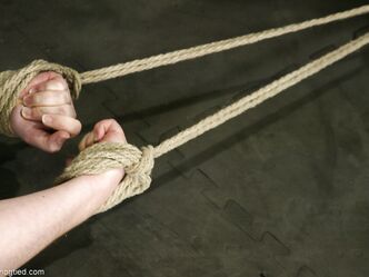 Hogtied Stardust