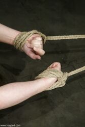 Hogtied Stardust