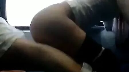 tuga a foder no comboio