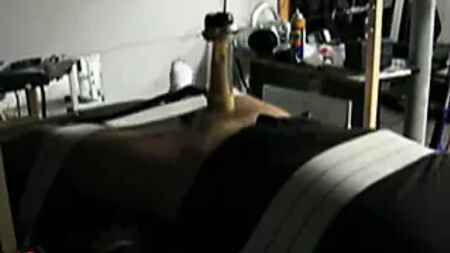 Venus milking machine 2