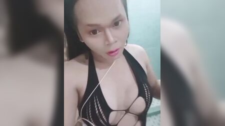 trany