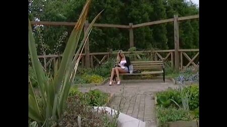 Adele Stephens - Office