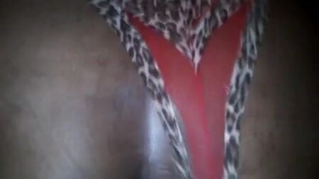 big booty n judge judy!