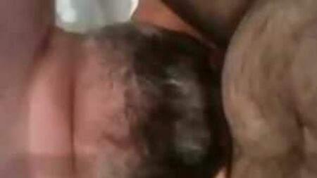 bear cock sucker