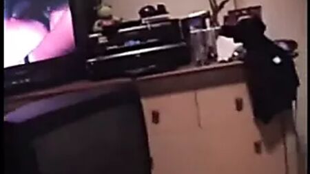 Puertorican Singer Noelia - Sex Tape