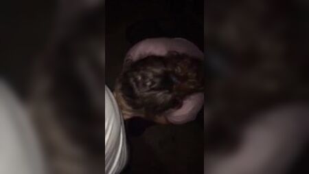 Dirtygirl614 sucks cock and take a stranger bareback