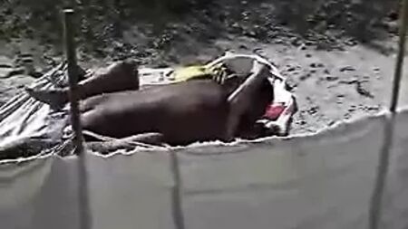 vacation couple (cuckold)