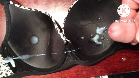 Meri Punjabi didi ki chudhi sex stories part 1