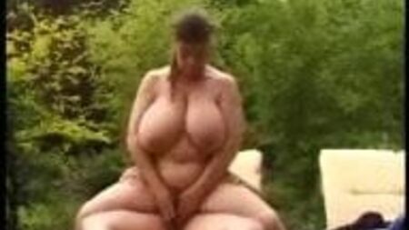 Great Tits In The Garden