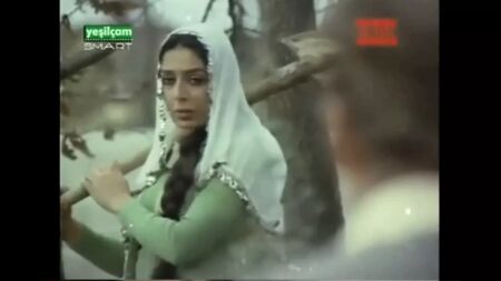 Turkish retro milf forest ormanda tecavuz turk hard village