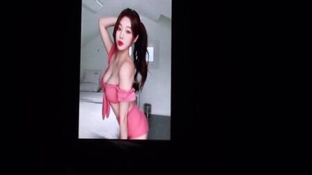 IG Streamer HanKyung cum tribute 1