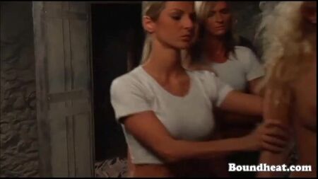 Group of naked slaves getting trained and touched