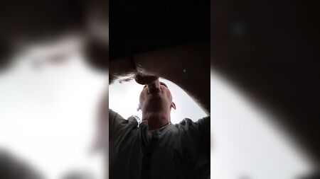 Sucking horse dick