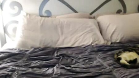 Danielle Delaunay Cam