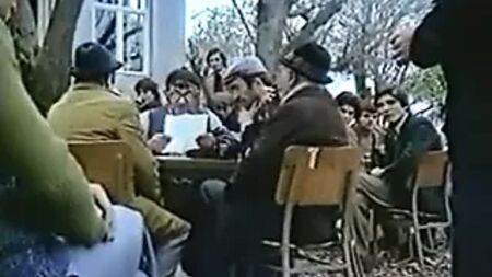 Zerrin Egeliler - Solan Yaprak