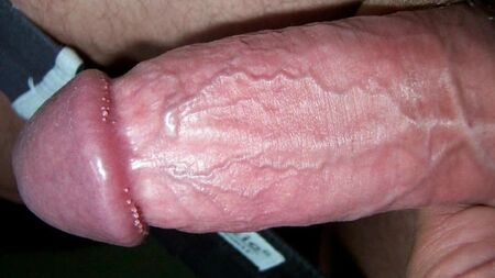 Bilder von meinem Penis