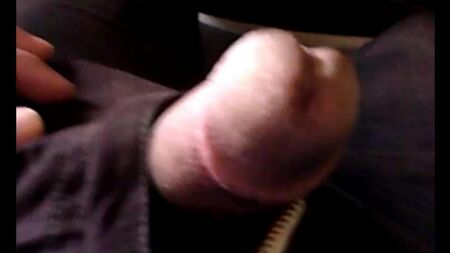 I took out a member on the bus and began to jerk off