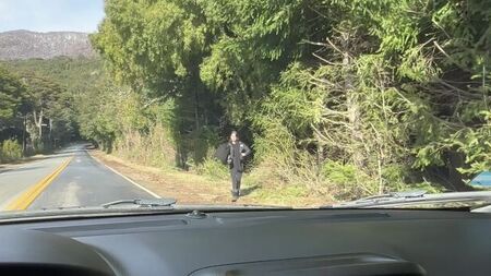 What if I give you a ride?