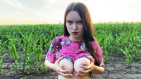 You can only give a farmer a field