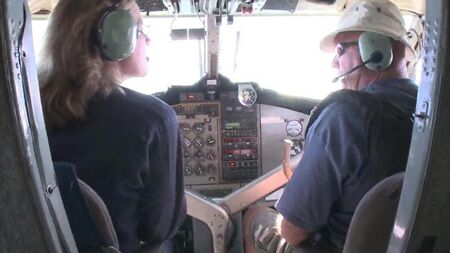 Sex with a stewardess