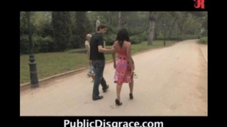 Public sex in the park for money