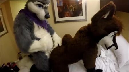 Gay Furry Dreams 24
