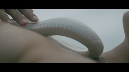 Paz de la Huerta, Dianna Agron, etc Nude - Bare (2015) Watch Online / Дианна Агрон, Пас де ла Уэрта - Обнажённая