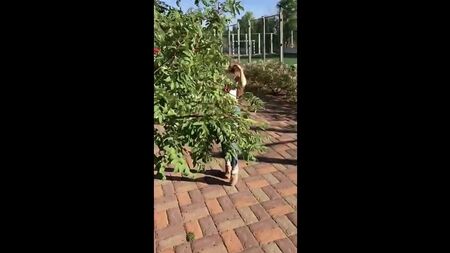 [LISI FLEX] SPRING BACKSTAGE IN ROMANTIC MOOD