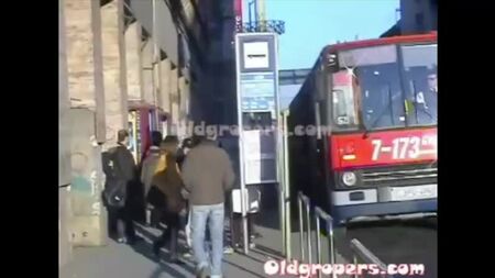 Western chikan knest