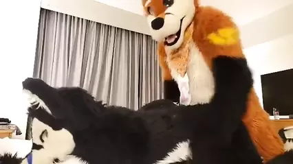 Animal Furry Costume - Play fursuit with friend - XXXi.PORN Video